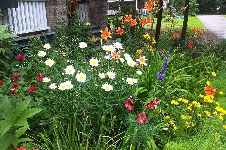 Perennial flowers for the garden and garden - photo