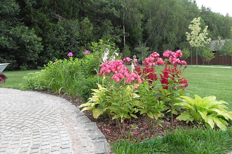 Perennial flowers for the garden and garden - photo