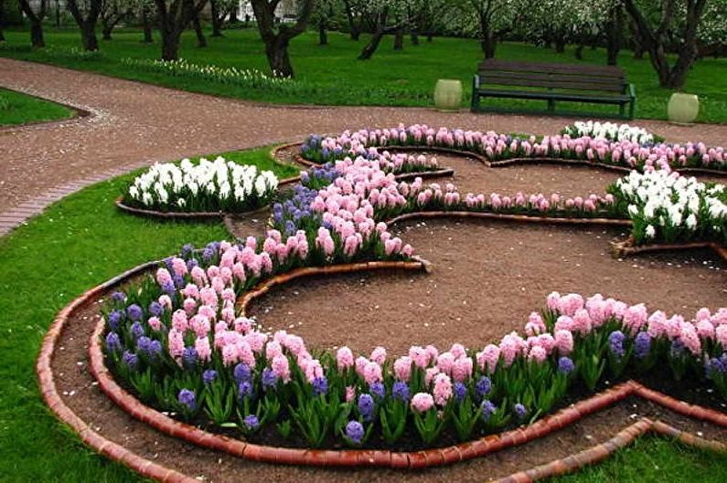 Perennial flowers for the garden and garden - photo