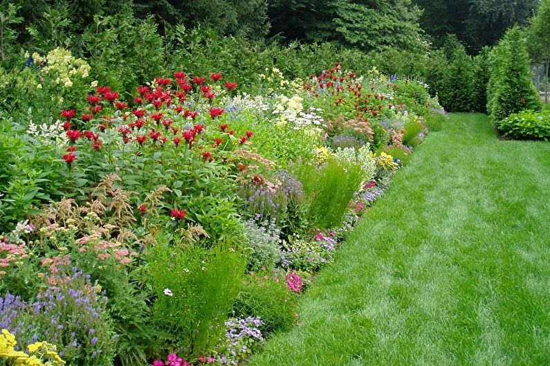 Perennial flowers for the garden and garden - photo