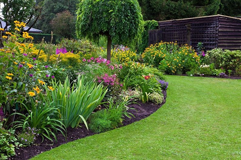 Perennial flowers for the garden and garden - photo