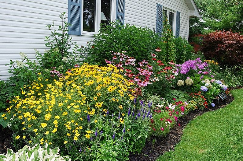 Perennial flowers for the garden and garden - photo