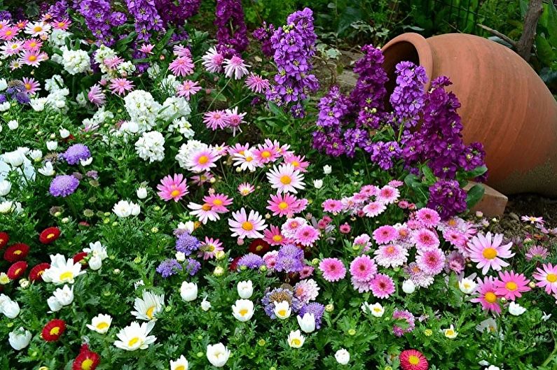 Perennial flowers for the garden and garden - photo