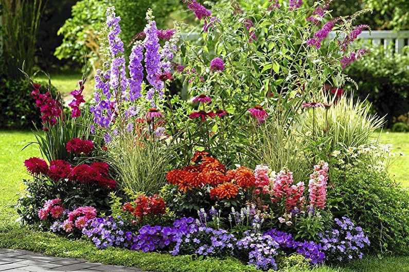 Perennial flowers for the garden and garden - photo
