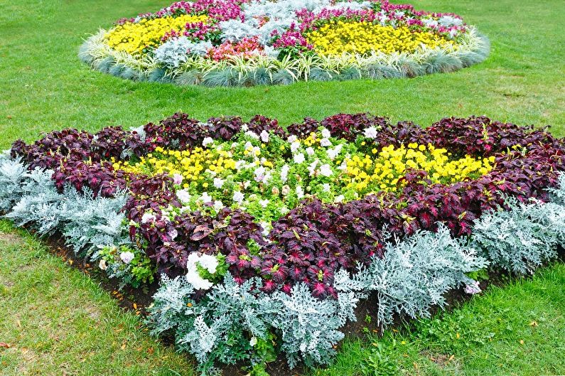 Perennial flowers for the garden and garden - photo