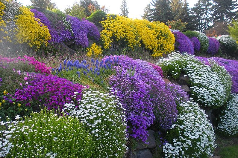 Perennial flowers for the garden and garden - photo