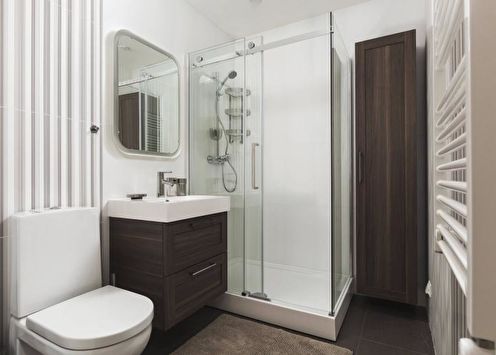 Bathroom with shower (85 photos): design ideas