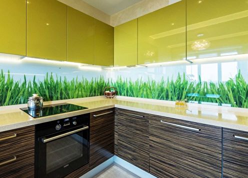 Skinali for the kitchen (70 photos): design ideas