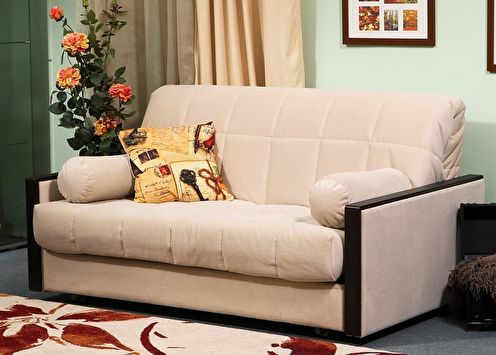 Sofa accordion (75 photos): types, how to choose