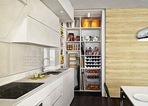 Design ideas for the pantry in the apartment (70 photos)