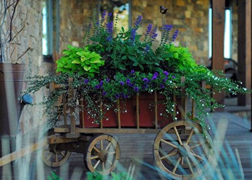 DIY flower pot: 100 photo ideas