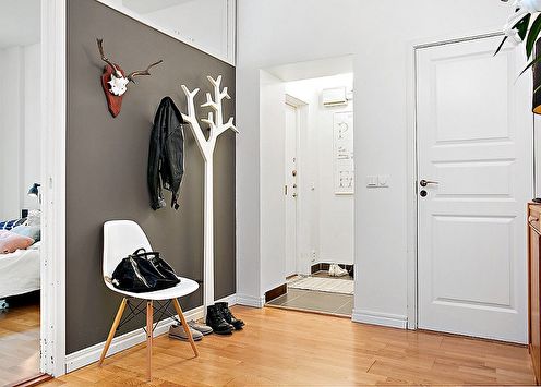 Scandinavian style entrance hall (80 photos)