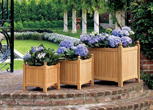 DIY flowerbed: 90 photos and ideas