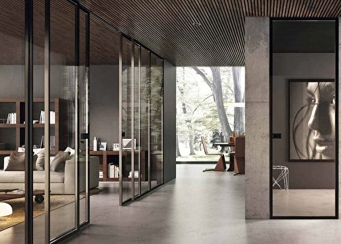 Glass interior doors (65+ photos)
