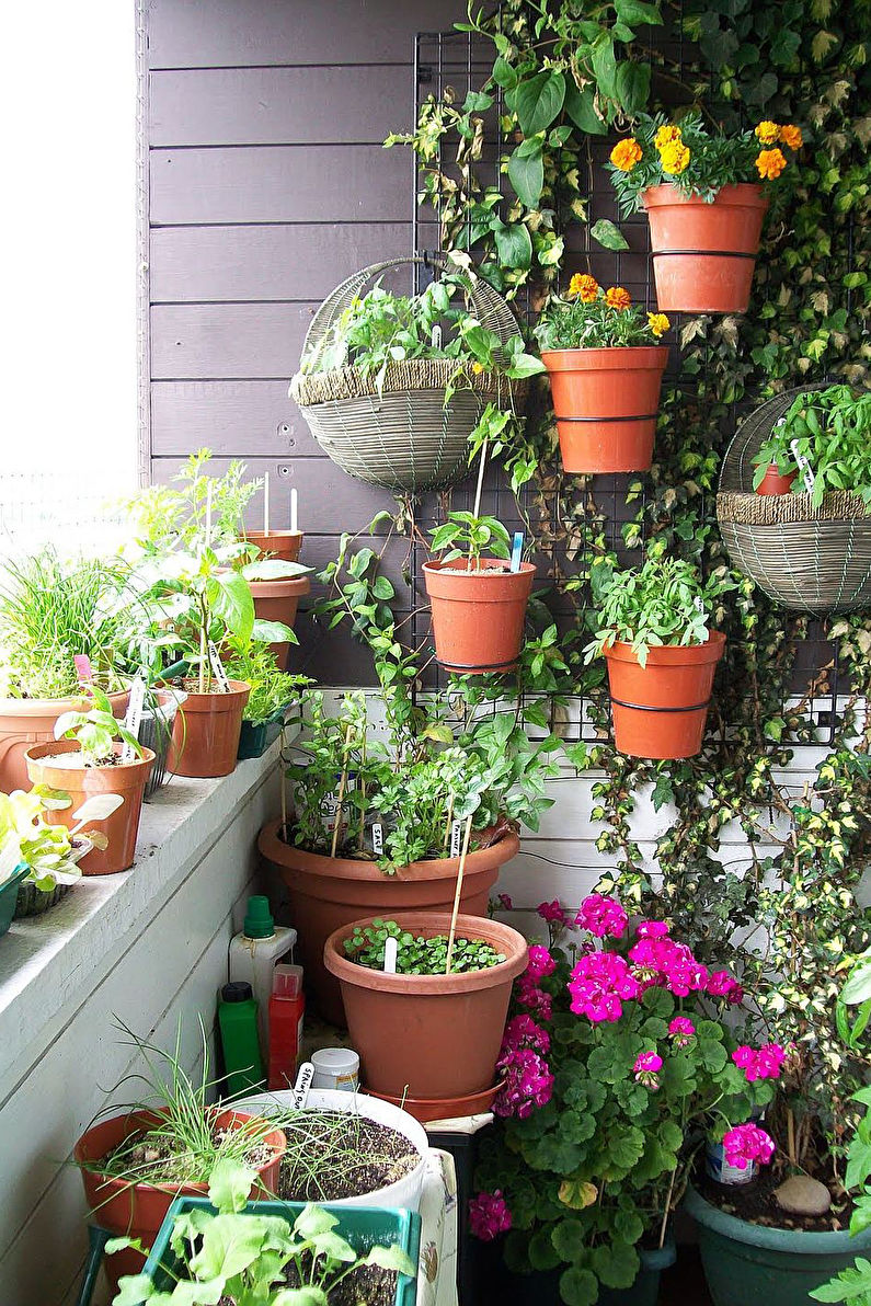 Winter garden on the balcony - Interior Design