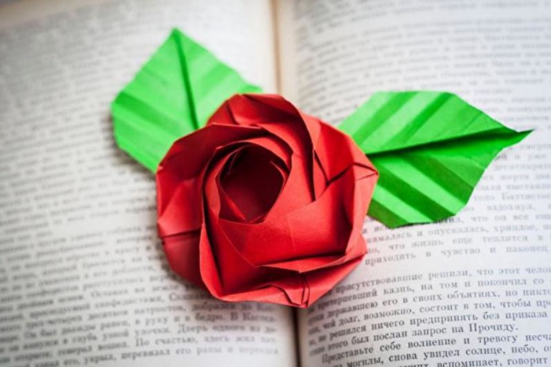 DIY do-it-yourself rose