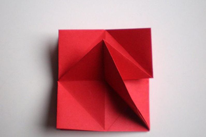 DIY do-it-yourself rose