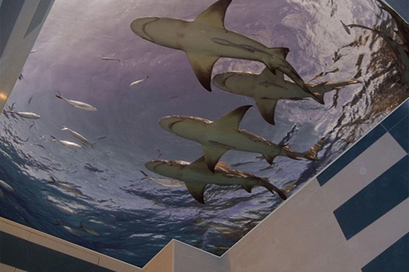 Stretch ceiling in the bathroom - 3D effect