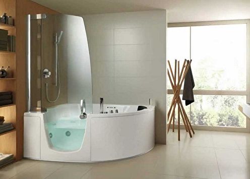 Glass curtains for the bathroom (50 photos)