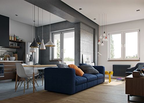 60+ ideas for redevelopment of a one-room apartment (photo)