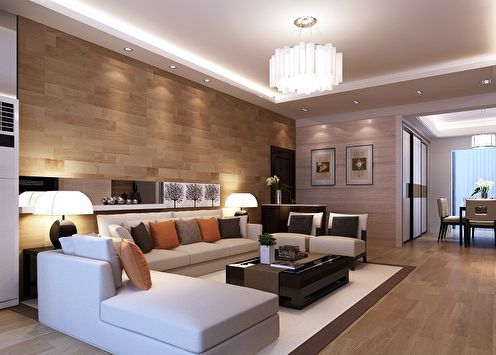 The design of the hall in the apartment (+80 photo)