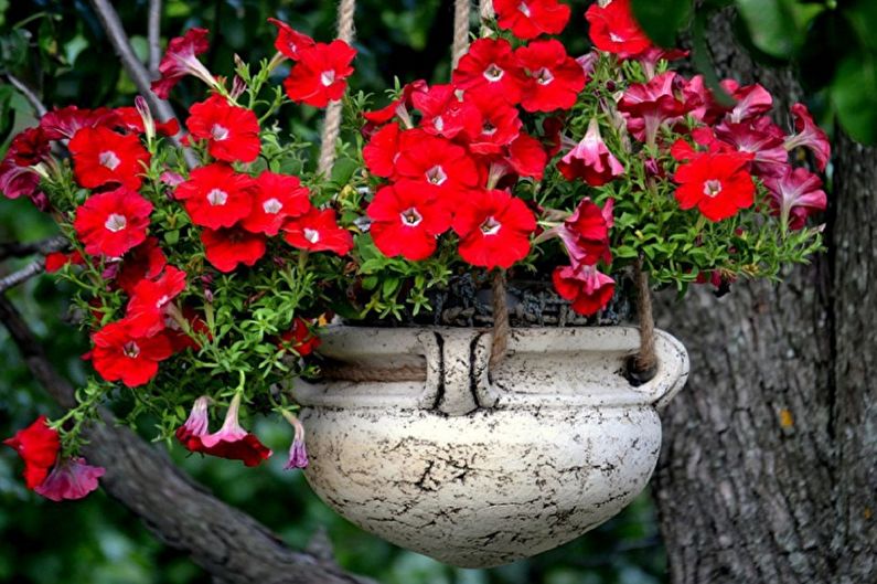 Street flowerpots - photo