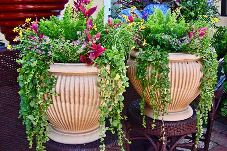 Street flowerpots - photo