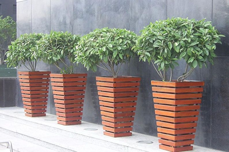 Street flowerpots - photo