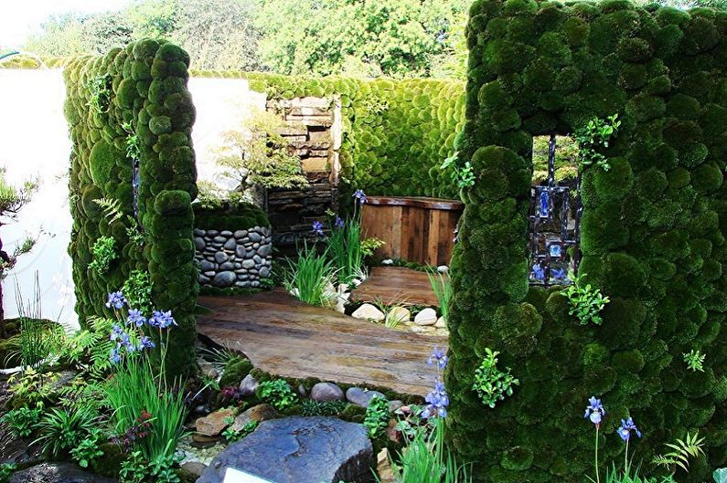 Vertical gardening in landscaping - Which plants to choose