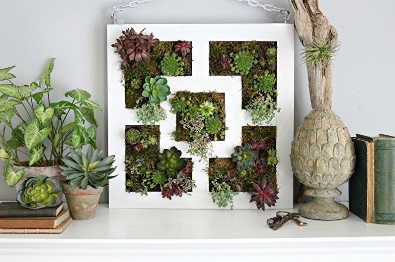 Vertical gardening in the interior - Methods of vertical gardening in the apartment