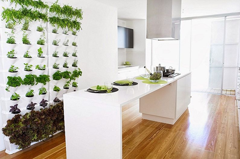 Vertical gardening in the interior - Which plants to choose for the interior