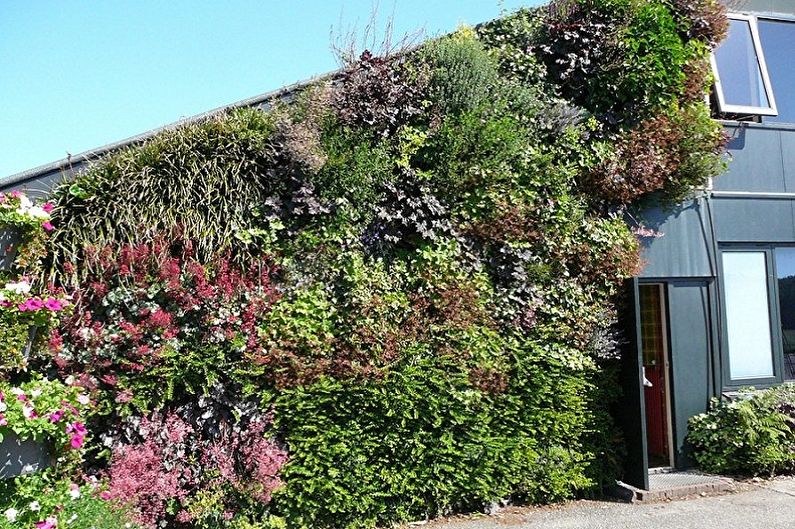 Vertical gardening - photo ideas