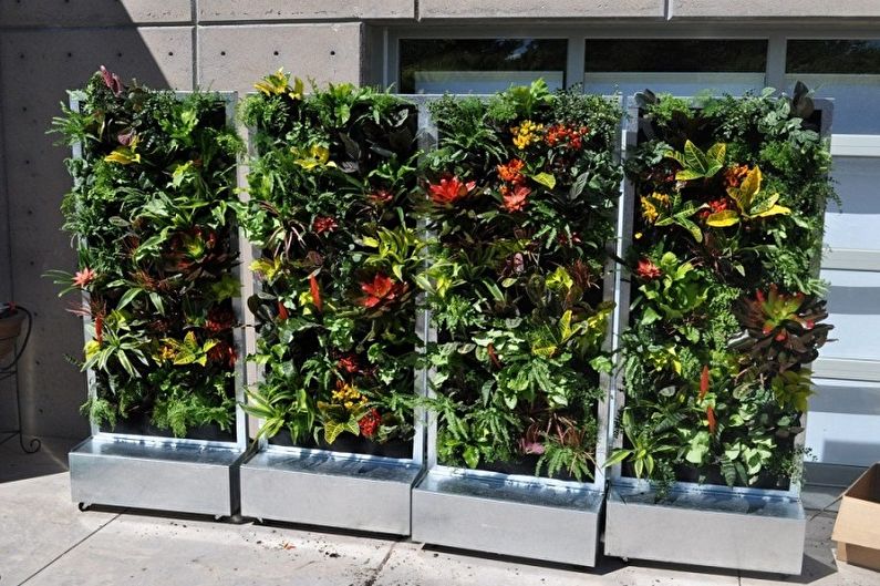 Vertical gardening - photo ideas