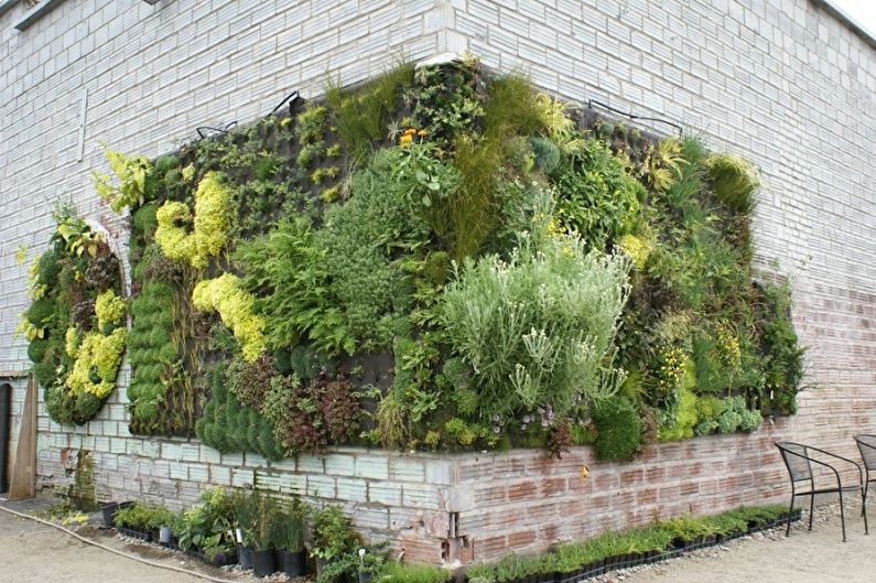 Vertical gardening - photo ideas