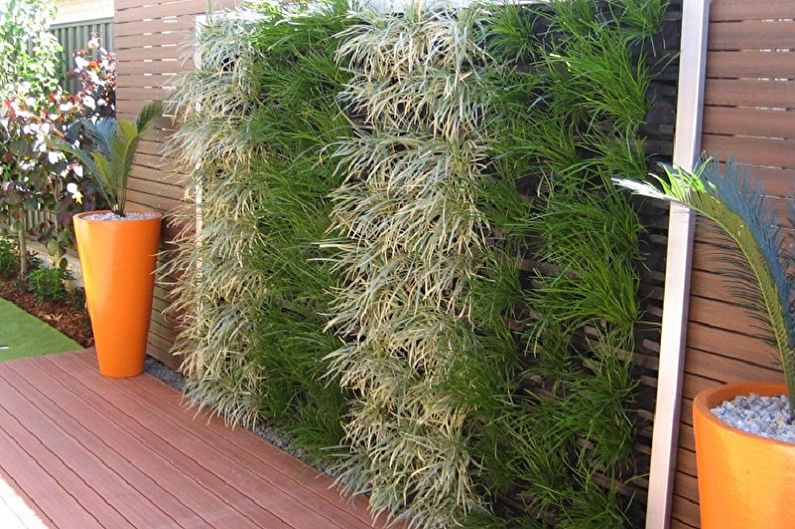Vertical gardening - photo ideas