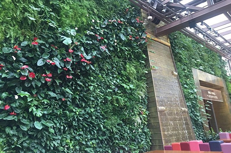 Vertical gardening - photo ideas