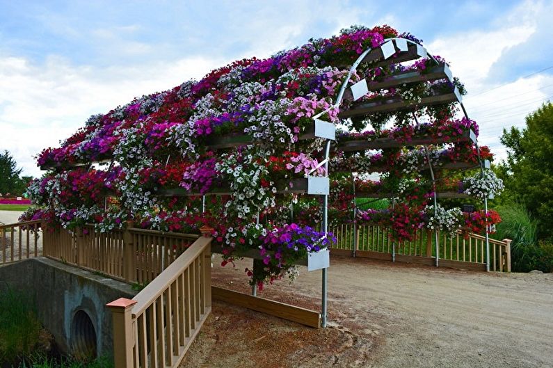 Vertical gardening - photo ideas
