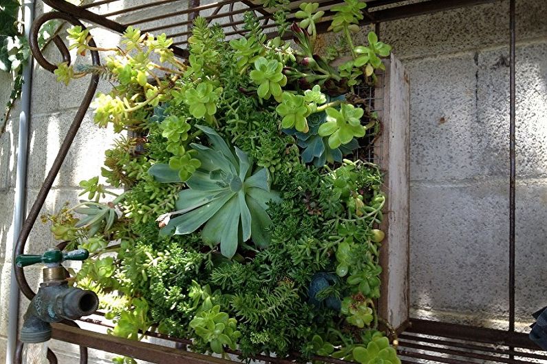 Vertical gardening - photo ideas