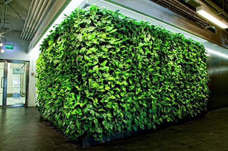 Vertical gardening - photo ideas