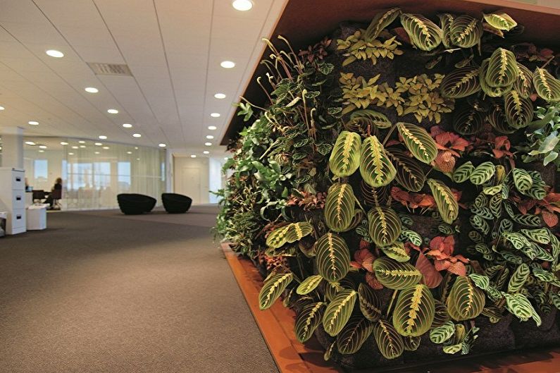 Vertical gardening - photo ideas