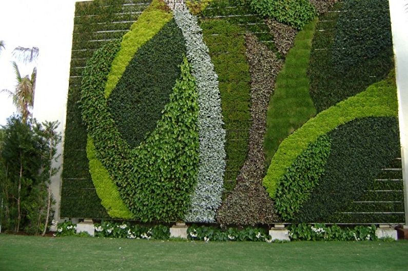 Vertical gardening - photo ideas
