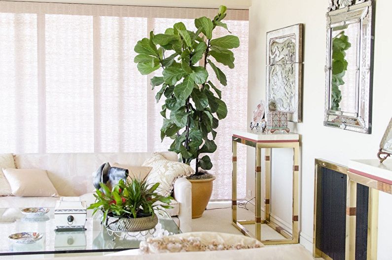 What flowers can not be kept at home - Popular signs about unwanted indoor plants