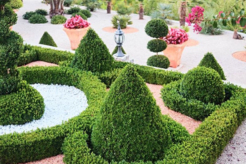 Conifere per la progettazione del paesaggio - Design in stile di un giardino con conifere