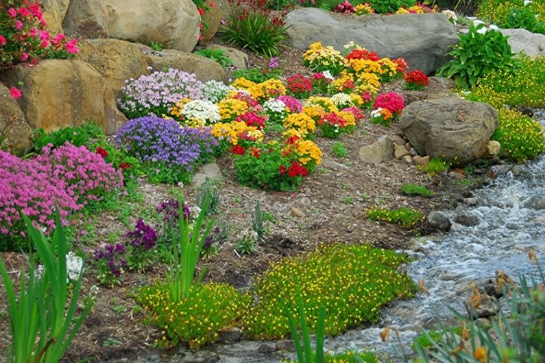 DIY Alpine slide - How to choose plants