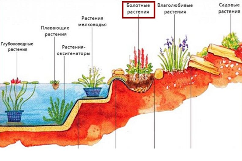DIY Alpine slide with a waterfall and a pond - What you need to prepare