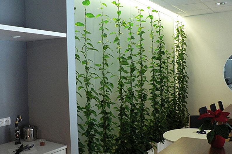 Climbing Houseplants - Formation