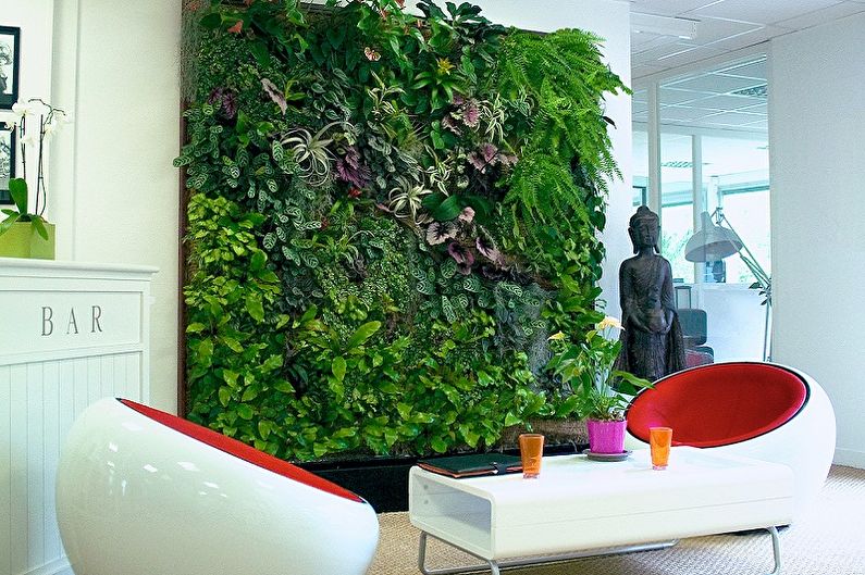 Curly houseplants - photo