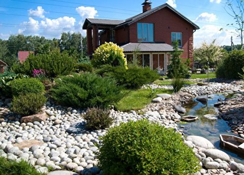 Conifers for landscape design