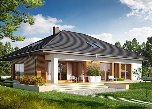 One-story houses (90 photos): projects and ideas