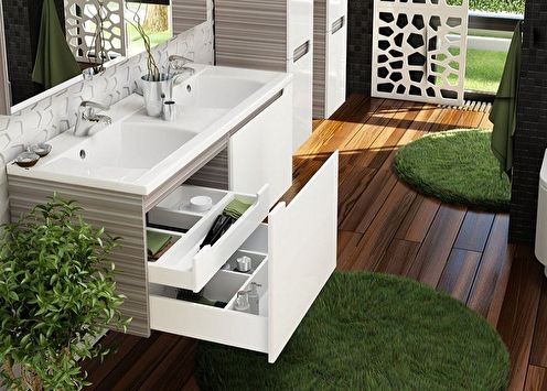 Cupboard under the sink in the bathroom (80 photos)